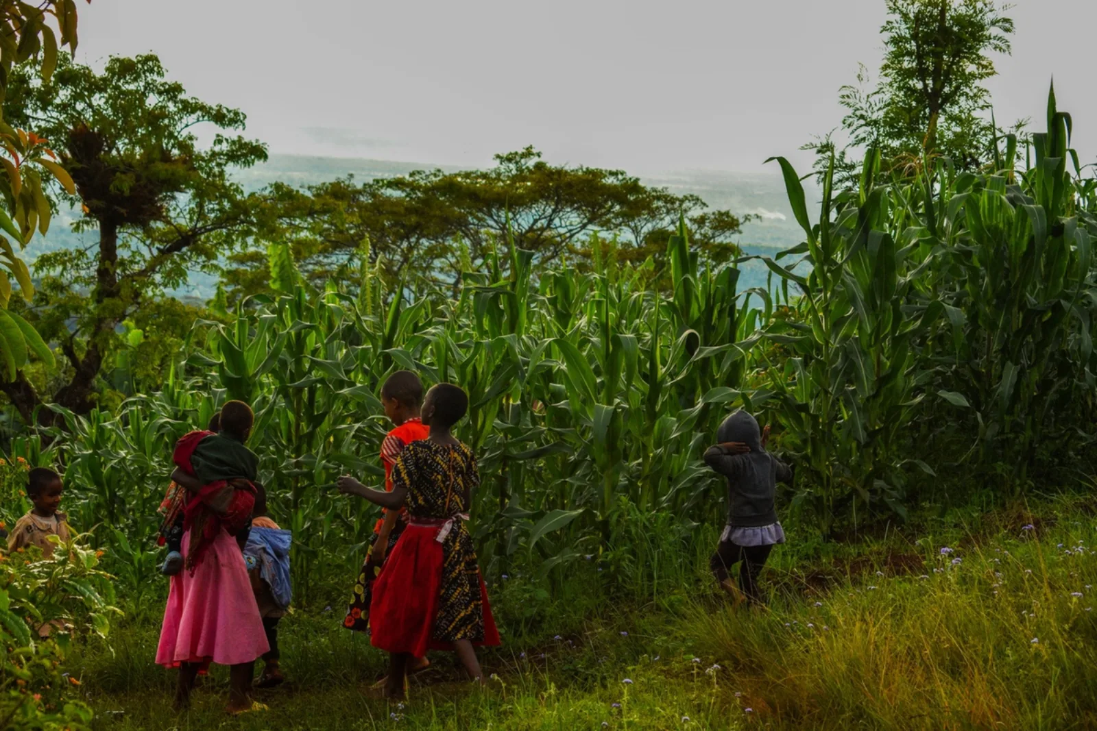 People walking through a rural landscape